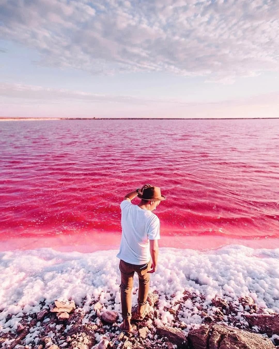 Pink Salt Lakes Experience