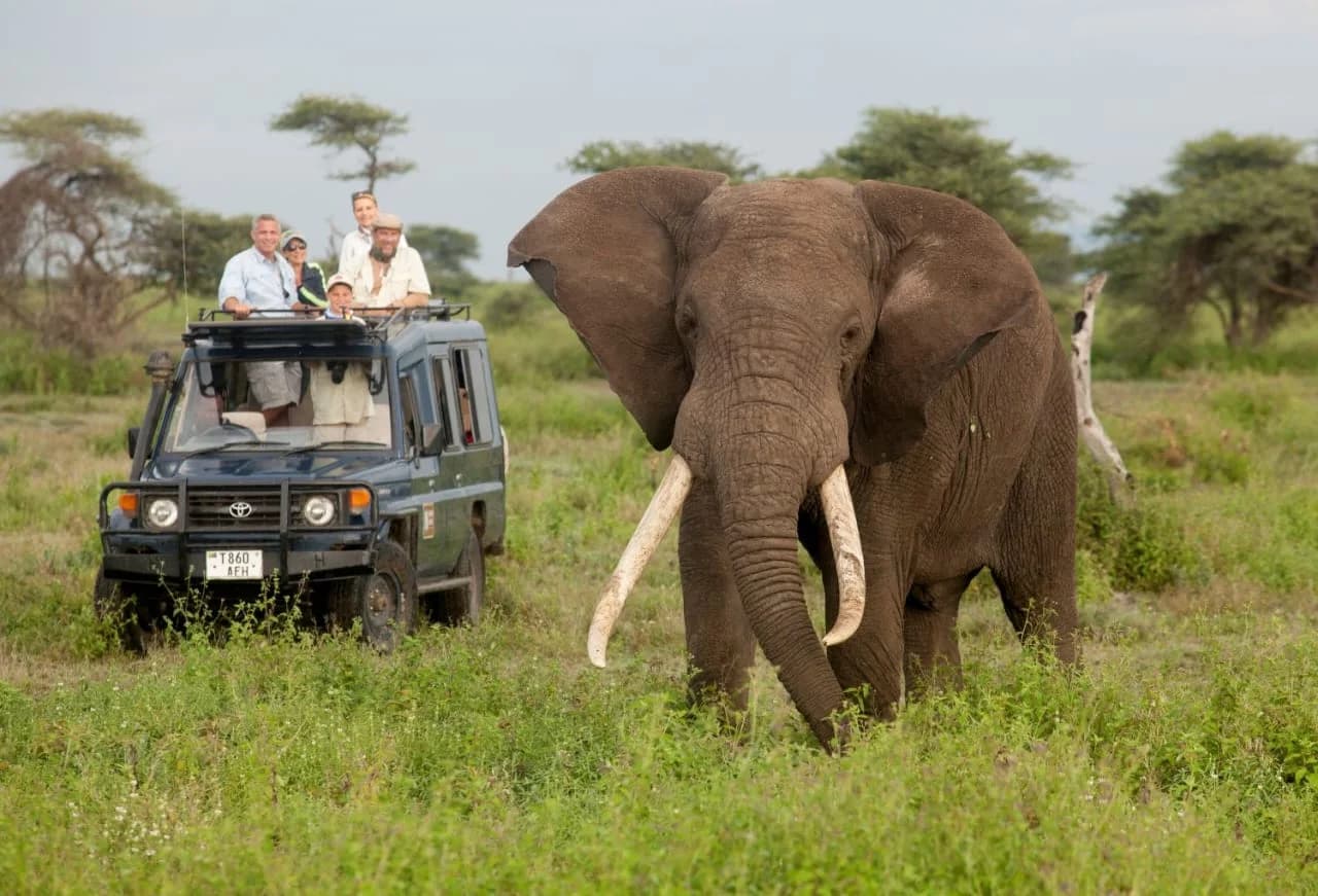 Classic Namibia Safari: Day by Day Itinerary